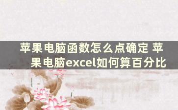 苹果电脑函数怎么点确定 苹果电脑excel如何算百分比